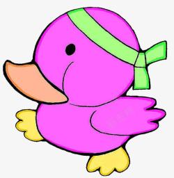 绿头巾紫色小鸭高清图片
