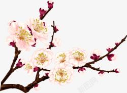 手绘粉色花朵树枝装饰素材