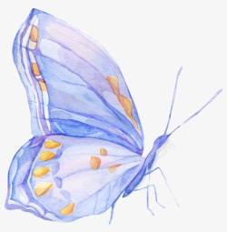 手绘水彩彩色蝴蝶素材