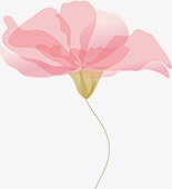 手绘粉色花卉展板素材