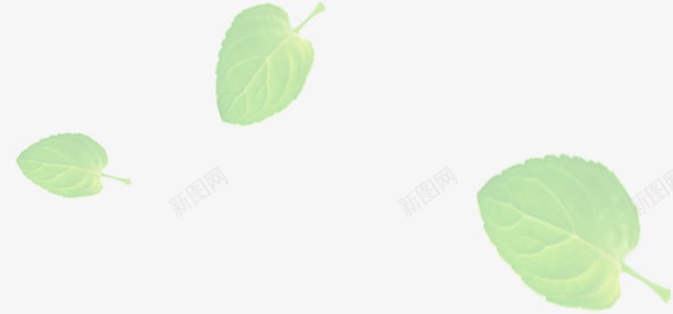 绿色树叶梦幻装饰png免抠素材_新图网 https://ixintu.com 树叶 梦幻 绿色 装饰