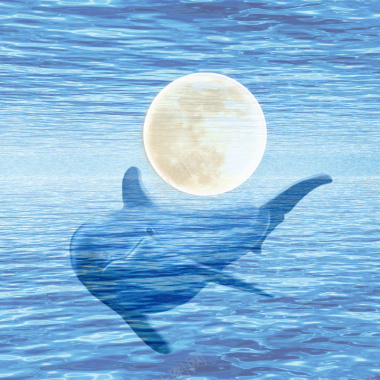 鲸鱼海上戏水背景