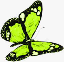 绿色卡通蝴蝶装饰素材