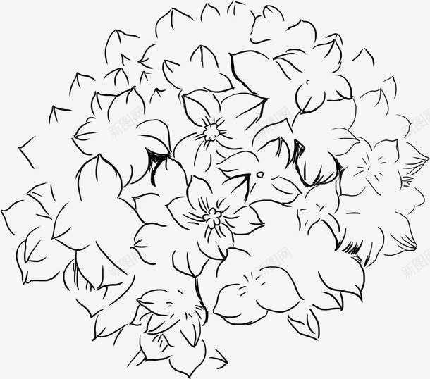 手绘创意花卉植物手绘素描png免抠素材_新图网 https://ixintu.com 创意 植物 素描 花卉