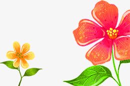 可爱清新装饰小花植物png免抠素材_新图网 https://ixintu.com 可爱 植物 清新 装饰
