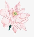 粉色多层创意花朵png免抠素材_新图网 https://ixintu.com 创意 粉色 花朵
