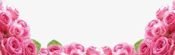 粉色浪漫唯美鲜花花朵装饰素材