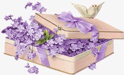 紫色唯美花朵植物礼盒鸽子素材
