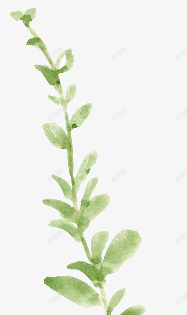 彩绘小草png免抠素材_新图网 https://ixintu.com 手绘叶子 手绘小草 水彩插画