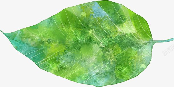 创意合成水彩绿色的树叶png免抠素材_新图网 https://ixintu.com 创意 合成 树叶 水彩 绿色