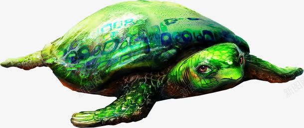 海龟png免抠素材_新图网 https://ixintu.com 乌龟 海洋生物 海龟 海龟png免费下载