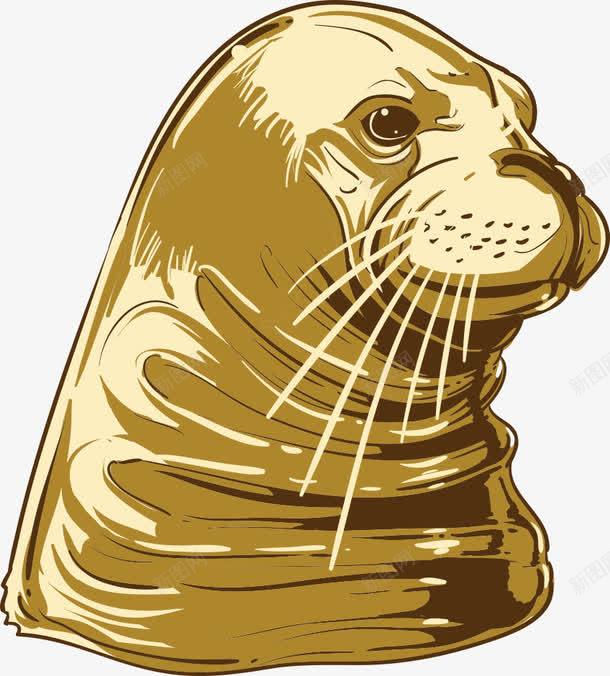 海豹插画png免抠素材_新图网 https://ixintu.com 动物 动物插画 卡通动物 海豹 矢量动物