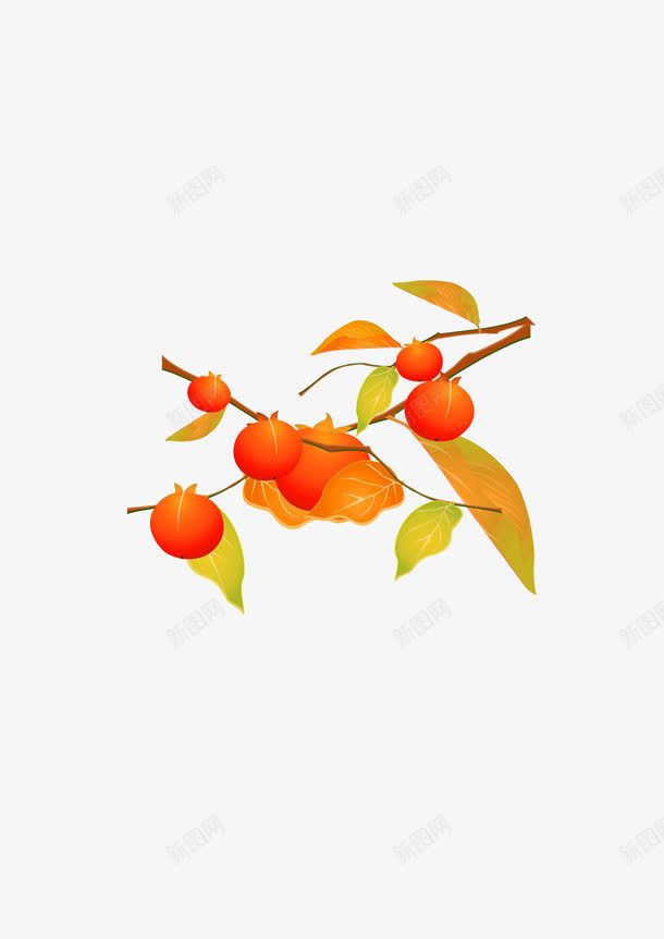 橘子树矢量图ai免抠素材_新图网 https://ixintu.com 手绘橙子 橘子树 橙子树 矢量图