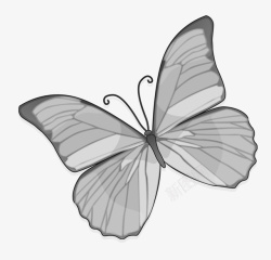 黑色手绘蝴蝶装饰图案素材