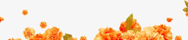 创意海报植物花朵效果小清新png免抠素材_新图网 https://ixintu.com 创意 效果 植物 海报 清新 花朵