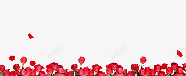 红色的鲜花png免抠素材_新图网 https://ixintu.com 植物 矢量装饰 红色的花 花朵 装饰 鲜花
