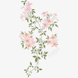清新花卉片素材