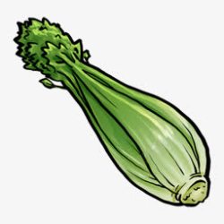 Celery芹菜手绘素材