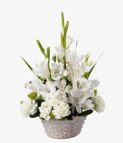 白色花朵插花素材