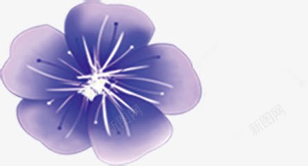 紫色手绘水彩花朵png免抠素材_新图网 https://ixintu.com 水彩 紫色 花朵