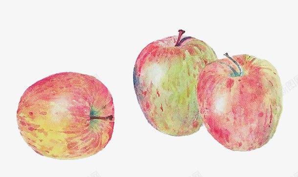 水彩苹果png免抠素材_新图网 https://ixintu.com 卡通 手绘 水彩 苹果 装饰