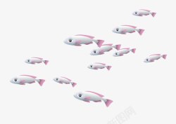 粉色白色相间的小鱼群素材