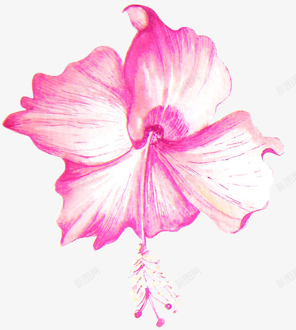 粉色手绘花朵植物png免抠素材_新图网 https://ixintu.com 卡通花朵 手绘花朵 植物 植物装饰 粉色花朵 花朵
