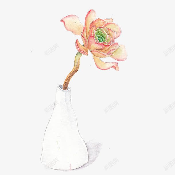 手绘花瓶png免抠素材_新图网 https://ixintu.com 手绘画 矢量装饰 花瓶 装饰 鲜花