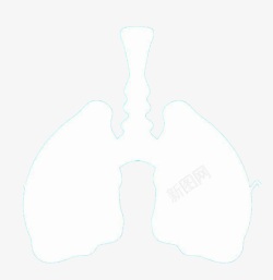肺的外形素材