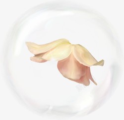水泡花朵气泡高清图片