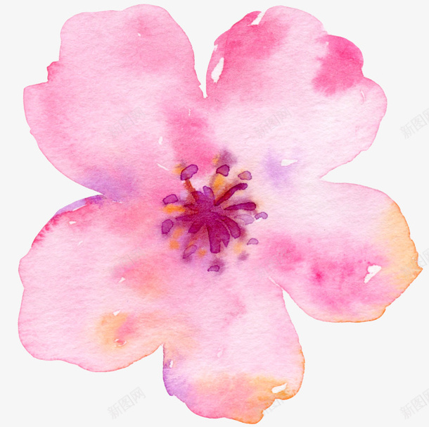 彩绘花朵png免抠素材_新图网 https://ixintu.com 彩绘画 矢量装饰 粉色 花朵 装饰