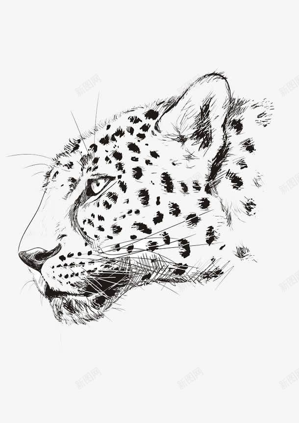 手绘豹头图标png_新图网 https://ixintu.com png 动物 手绘 手绘豹 豹 豹头
