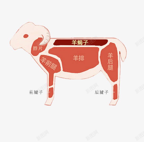 羊蝎子部位图png免抠素材_新图网 https://ixintu.com 分布图 卡通 羊蝎子 肉 设计