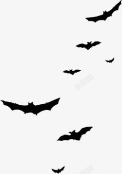 黑色蝙蝠素材