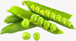 绿色的角豆素材