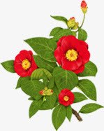 手绘绿色叶子花朵红色花朵png免抠素材_新图网 https://ixintu.com 叶子花 手绘 红色 绿色 花朵