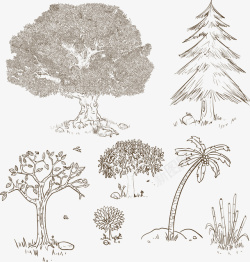 7款手绘树木矢量图素材