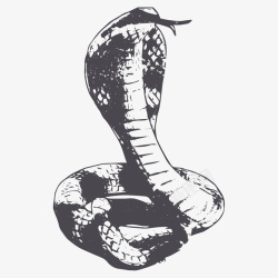 扁头蛇卡通手绘卡通眼睛蛇高清图片