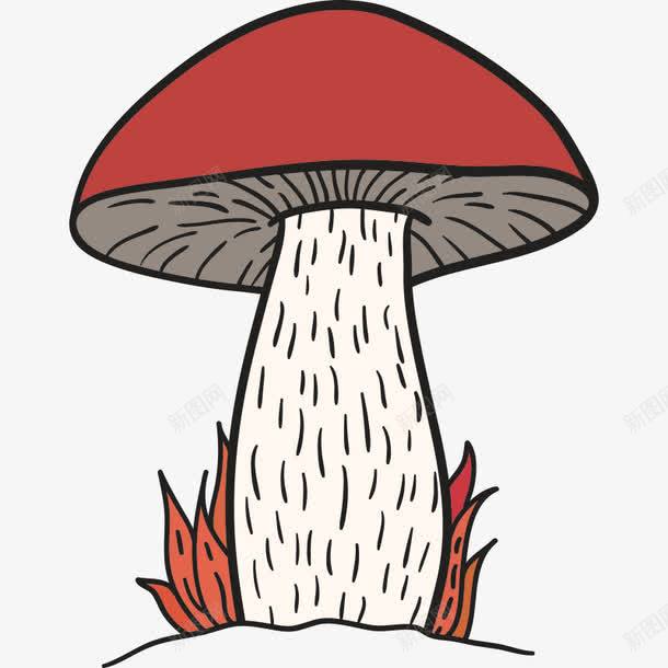 蘑菇菌类png免抠素材_新图网 https://ixintu.com 卡通 卡通蘑菇 菇 菌子 菌类 蘑菇