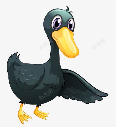 黑鸭png免抠素材_新图网 https://ixintu.com 卡通动物 家畜 家禽 手绘动物
