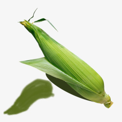 玉米苞带苞嫩玉米高清图片