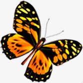 黄色蝴蝶手绘艺术素材