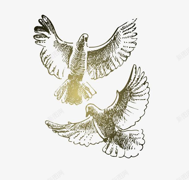 手绘鸽子矢量图ai免抠素材_新图网 https://ixintu.com 手绘 鸟 鸽子 矢量图