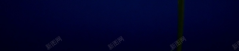 精美花卉类背景图31jpg设计背景_新图网 https://ixintu.com 精美 背景图 花卉类 高清