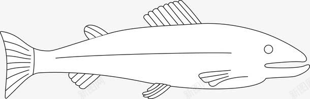 白色的鱼png免抠素材_新图网 https://ixintu.com 凶残 可爱 水生生物 食肉性