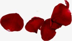 红色花瓣装饰效果素材