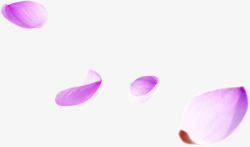 紫色漂浮花装饰元素素材