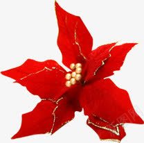 红色圣诞节花朵png免抠素材_新图网 https://ixintu.com 圣诞节 红色 花朵