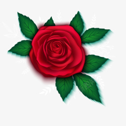 红色的玫瑰花植物矢量图素材
