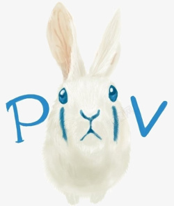 创意兔子与字母素材